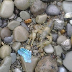 Meet your Posher, Jody